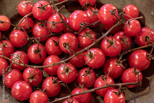 Photography red tomatoes background, nacka,sverige,sweden, stockholm