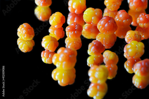 close up of a bunch of cloudberrires, j'mtland, Rubus chamaemorus photo