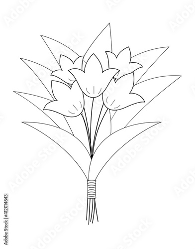 bouquet of tulips. Hand drawn doodle illstration. Vector illustration. Decorative elements isolated on white background photo