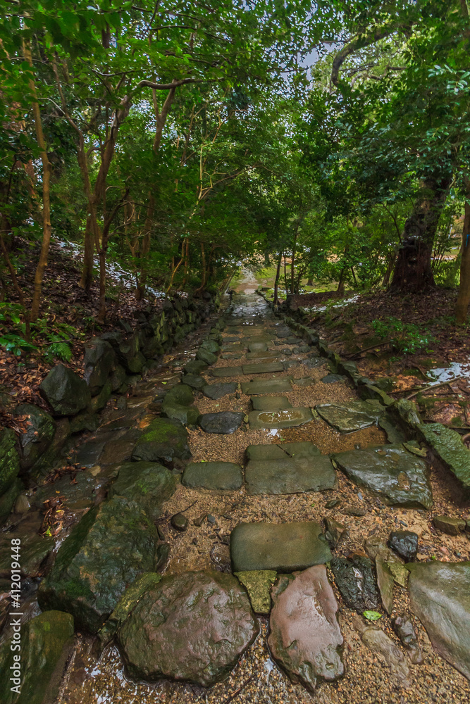 冬の松江城の風景