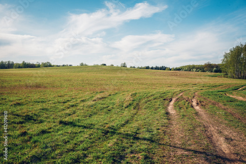 landscape with a field