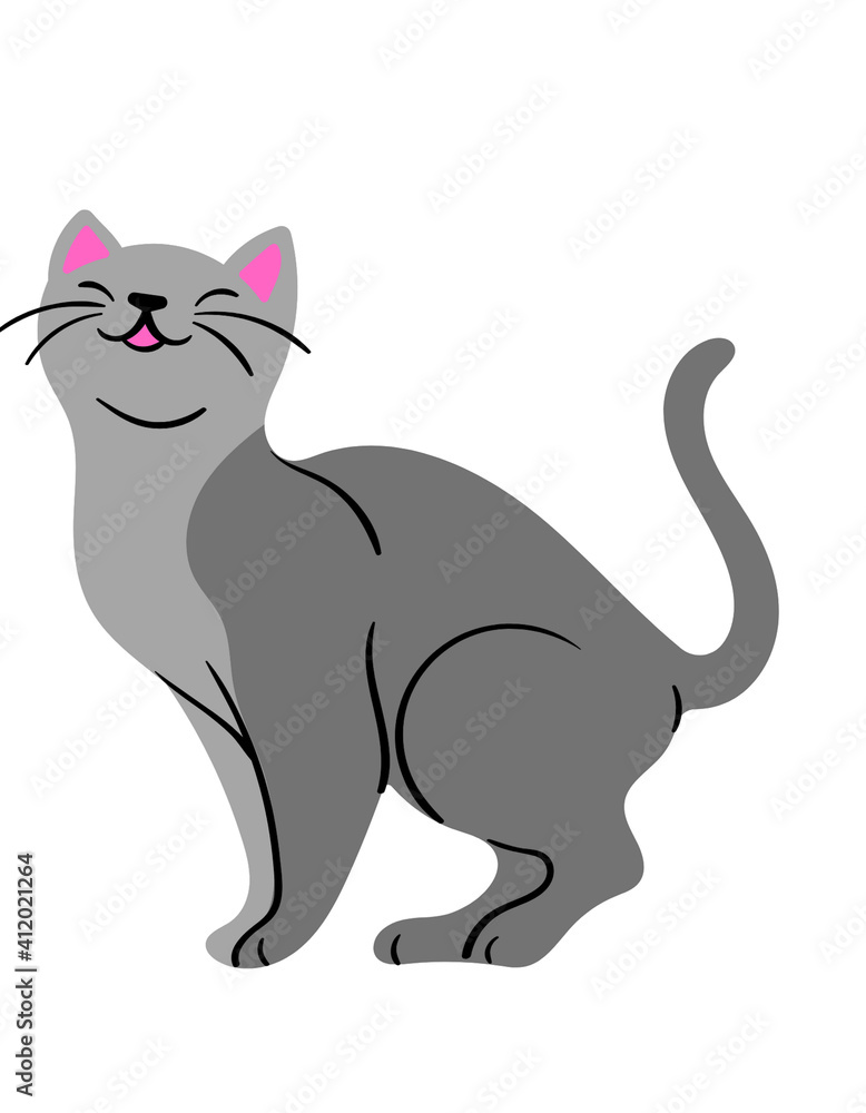 Grey Cat Adorable Grey Cat Adorable