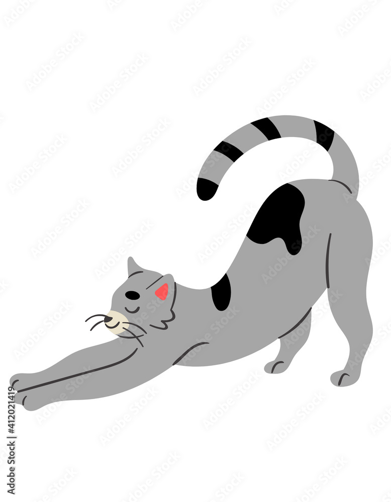 Obraz premium Grey and Black Kitty