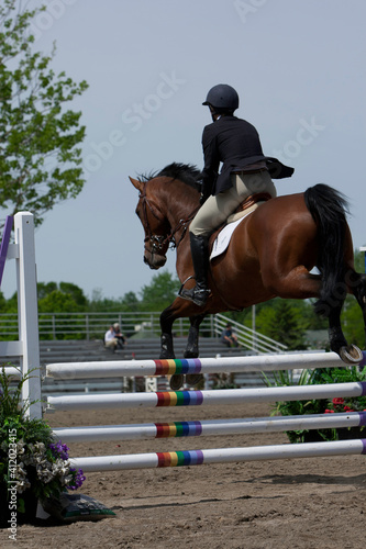 Show jumping - horse with rider jumping over hurdle.