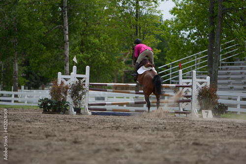 Show jumping - horse with rider jumping over hurdle.