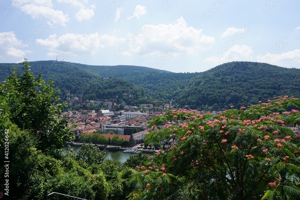 Heidelberg - Germany