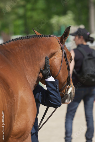 Rider on horseback during a competition