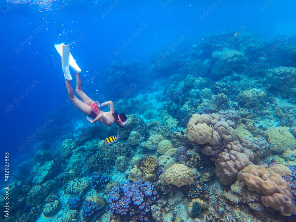 Fototapeta premium traveller is snorkeling to sea coral