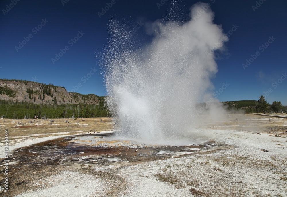 Jewel Geyser erupting along Biscuit Basin Loop Trail (Continental Divide Trail) in Biscuit Basin at Yellowstone National Park, Wyoming