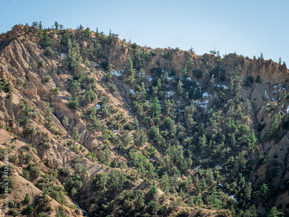 California Forest Mountain Ridge with Trees On Winter Day