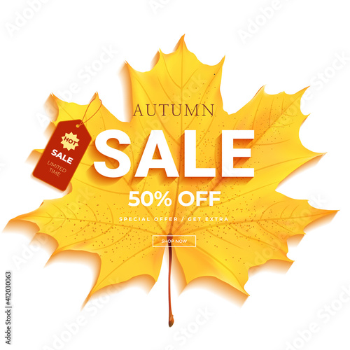 Autumn sale lettering banner. special offer discount poster with fall  leaves. autumn seasonal design template.