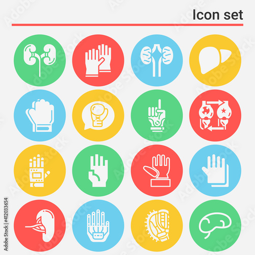 16 pack of pancreas  filled web icons set