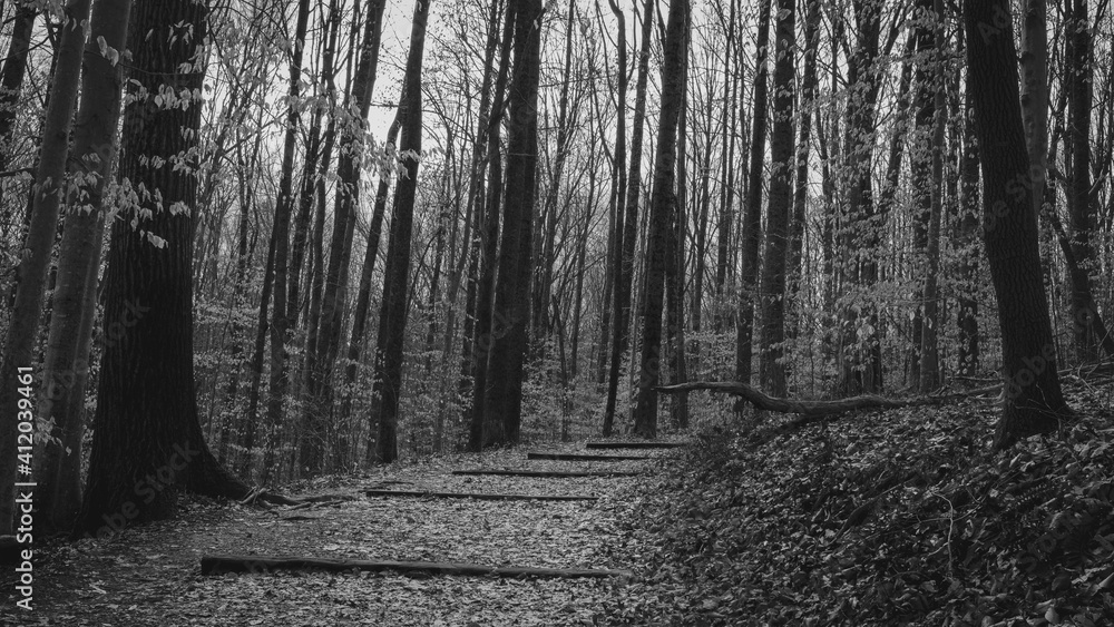 Naklejka premium Just Around The Corner