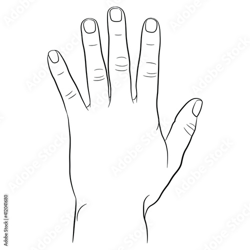 Human hand with open fingers. Top view. Hand drawn linear sketch. Black silhouette on white background.