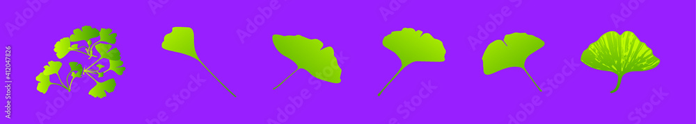 set of ginko leaves cartoon icon design template with various models. vector illustration isolated on purple background
