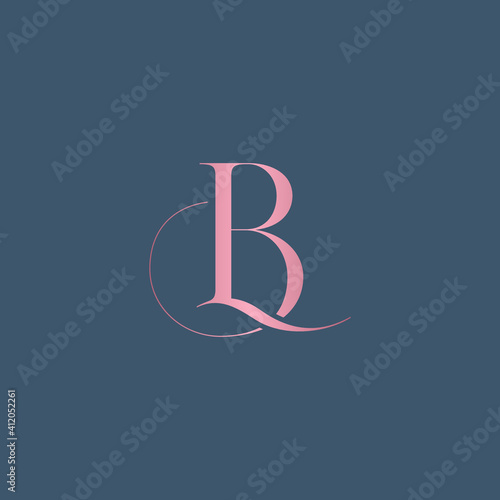 BL letter logo alphabet monogram icon symbol photo