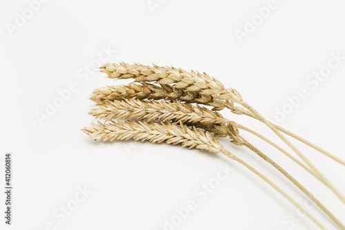 Shining golden painted wheat ears close up. Pastel color background with ripening ears pf cereal plant. Concept of autumnal harvest time