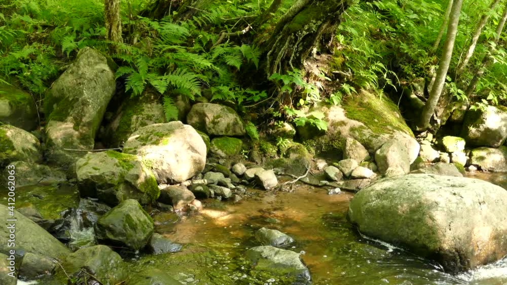 Natural stream water flows against big stone rock pan right Natural stream water flows against big stone rock pan right