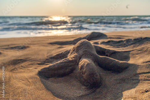 Море песок черепаха из песка