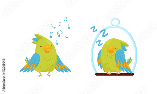 Cute Green Parrot Singing and Sleeping on Perch Vector Set