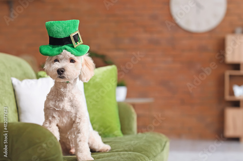 Cute dog with green hat at ...