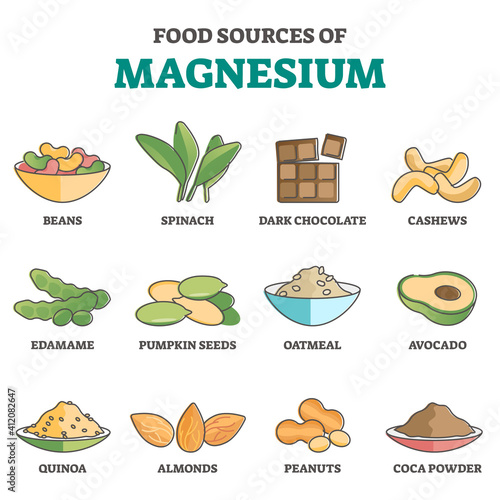 Food sources of magnesium as products for healthy eating outline concept