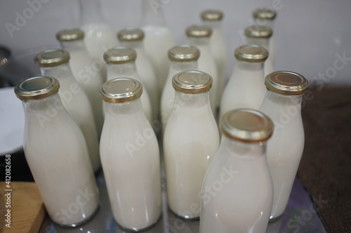 bottle milk white drink