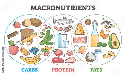 Macronutrients educational diet with carbs, protein and fats outline concept