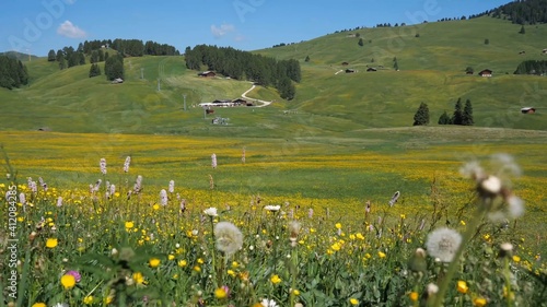 Casas situadas en los alpes, con un campo verdoso lleno de flores amarillas, con enormes árboles y un cielo celestial