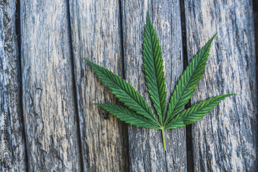 Cannabis on an old wooden background. Close-up. Cannabis on an old wooden background. Close-up.