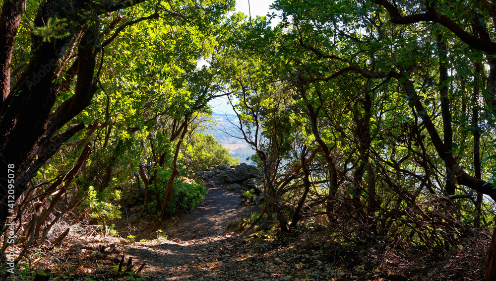 Hiking path in Costa Verde mountain. Corsica island Hiking path in Costa Verde mountain. Corsica island