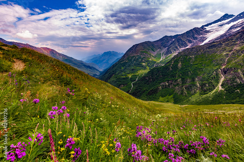 alpine meadow in the mountains © Леонид Мягков