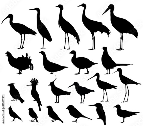 Obraz na płótnie Shorebirds and birds of fields. Silhouettes vector set w salonie