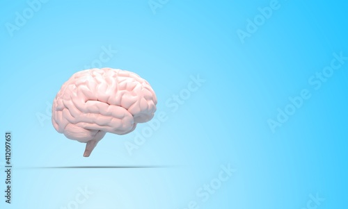 cerveau humain vu de profil sur fond bleu - rendu 3D photo