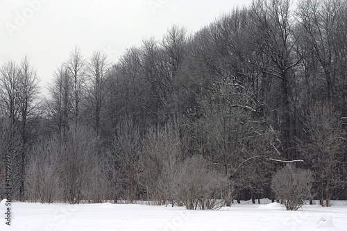 the outskirts of the park on a frosty winter morning © EvgenyBelenkov