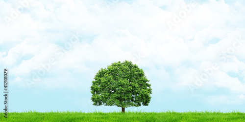 Grass and trees view Cloudy skies Wide angle landscape 3d illustration