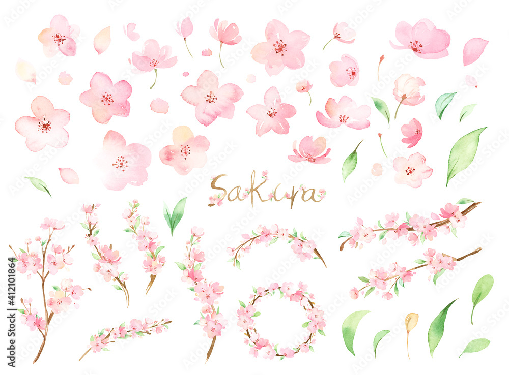 手描き水彩 桜 花や枝 花弁のイラストセット Stock Illustration Adobe Stock 手描き水彩 桜 花や枝 花弁のイラストセット Stock Illustration Adobe Stock