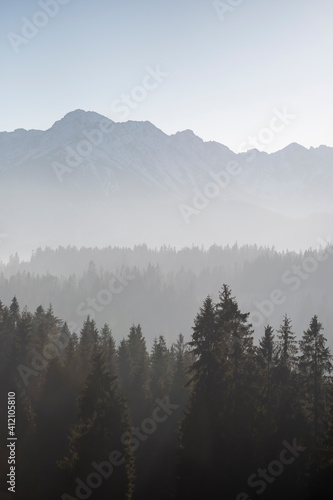 Vertical mountain view on a sunny autumn day. Tatra Mountain peaks can be seen over the hills of Podhale region, Poland. Selective focus on coniferous trees, blurred background.