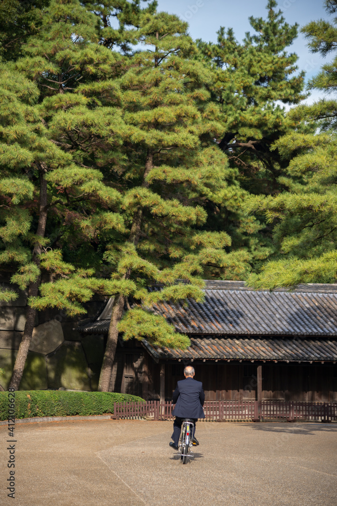 Ancient japanese building in garden of autumn trees