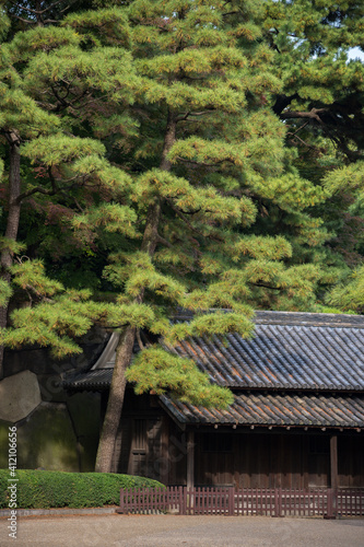Ancient japanese building in garden of autumn trees