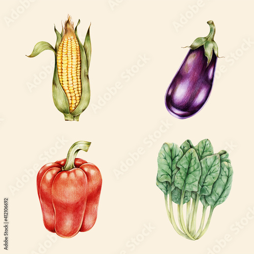 Organic vegetables vintage vector hand-drawn collection