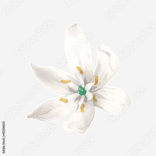 Hand drawn watercolor flower vector