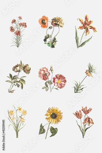 Vintage flower vector hand drawn illustration set