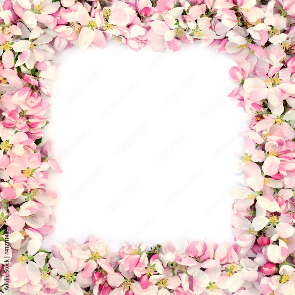 Spring apple blossom border on white background with white copy space. Mothers day card, greeting card or birthday card, Spring apple blossom border on white background with white copy space. Mothers day card, greeting card or birthday card,
