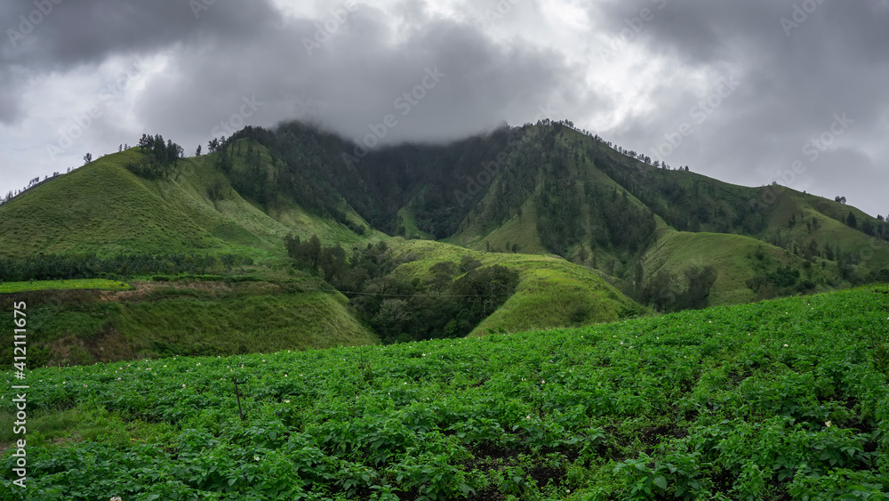 Galuh Park is a natural tourist attraction in the mountains of East Java which is close to the Bondowoso crater. Mountain View With Green Field