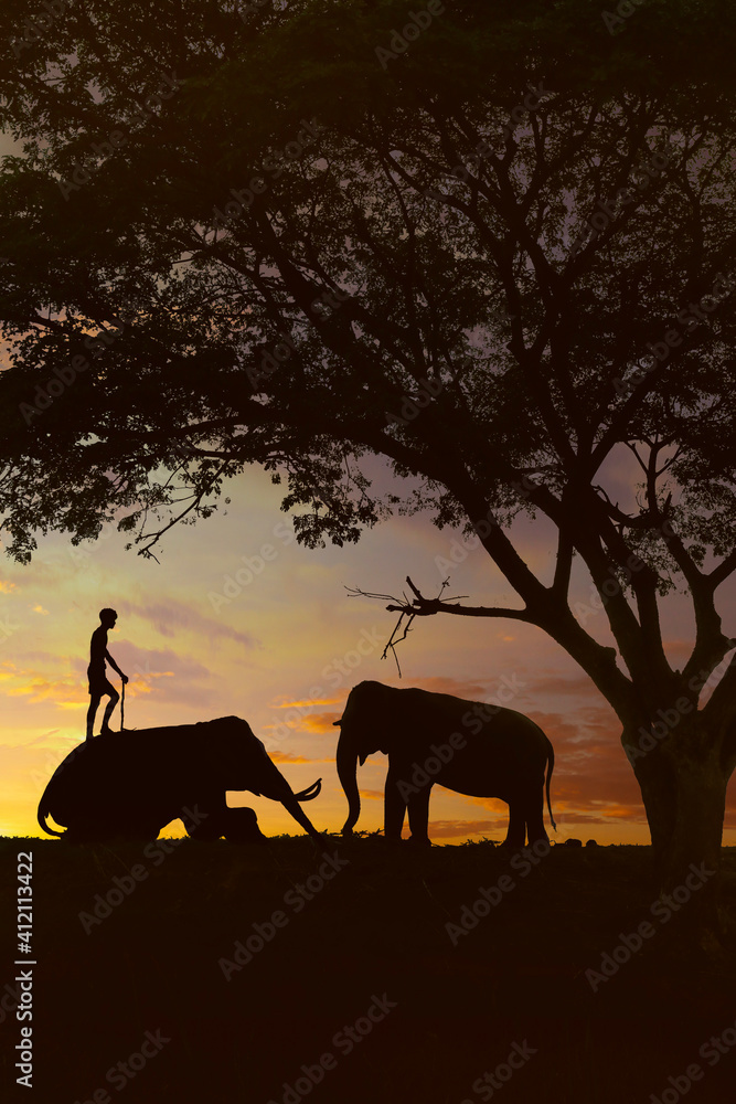 shape of elephant under a tree during sunset 