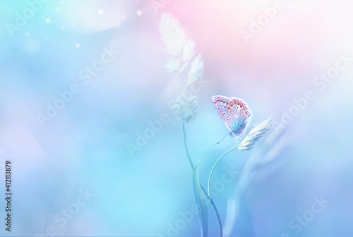 Gentle natural background in light pastel blue pink colors. Beautiful butterfly on blade of grass in nature.  Airy soft romantic  dreamy artistic spring  image. © Laura Pashkevich