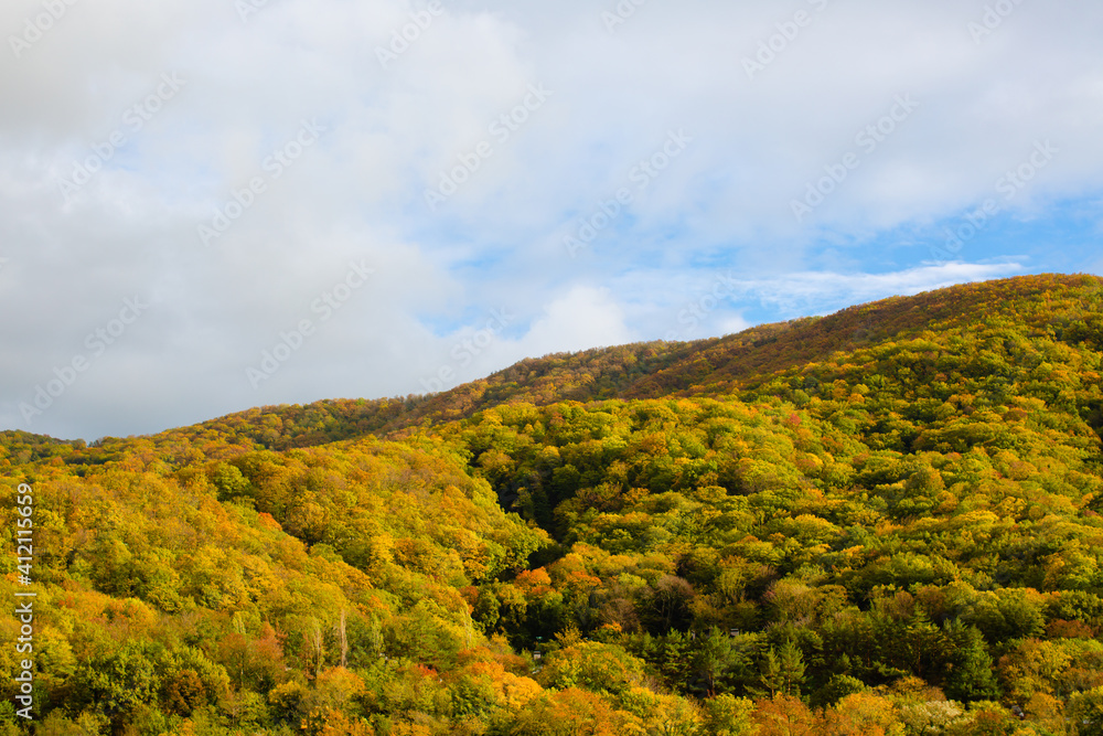 Fragment of a mountain in the autumn forest