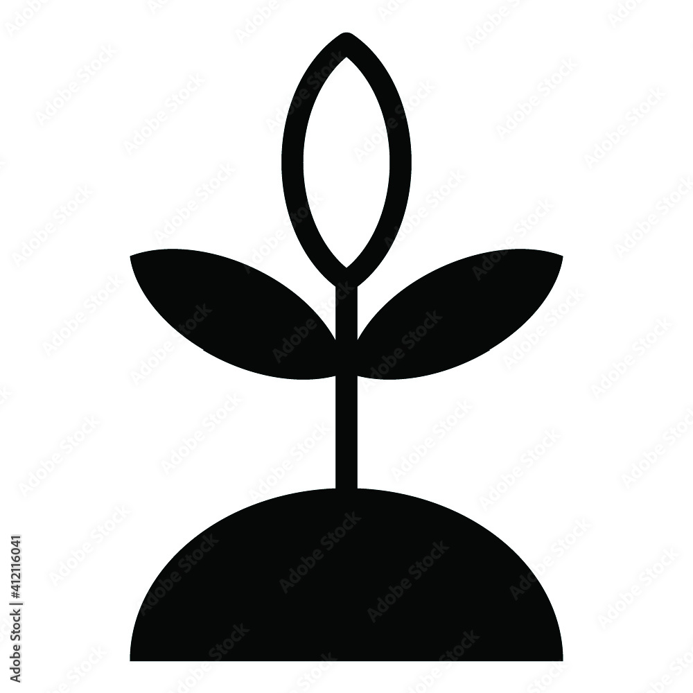 plant plant