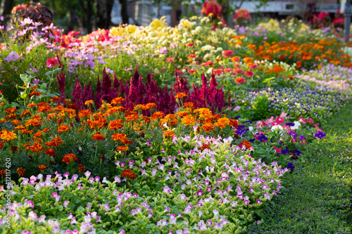 The colorful flowers are planted beautifully in the botanical garden. Many flowers are arranged in the garden for their beauty.  © AP focus